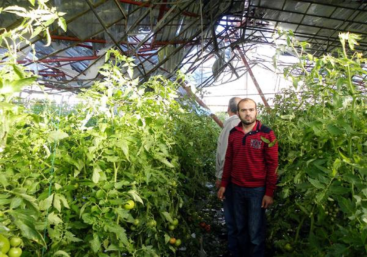 500 Metrekarelik Çelik Çatı Seraların Üzerine Uçtu