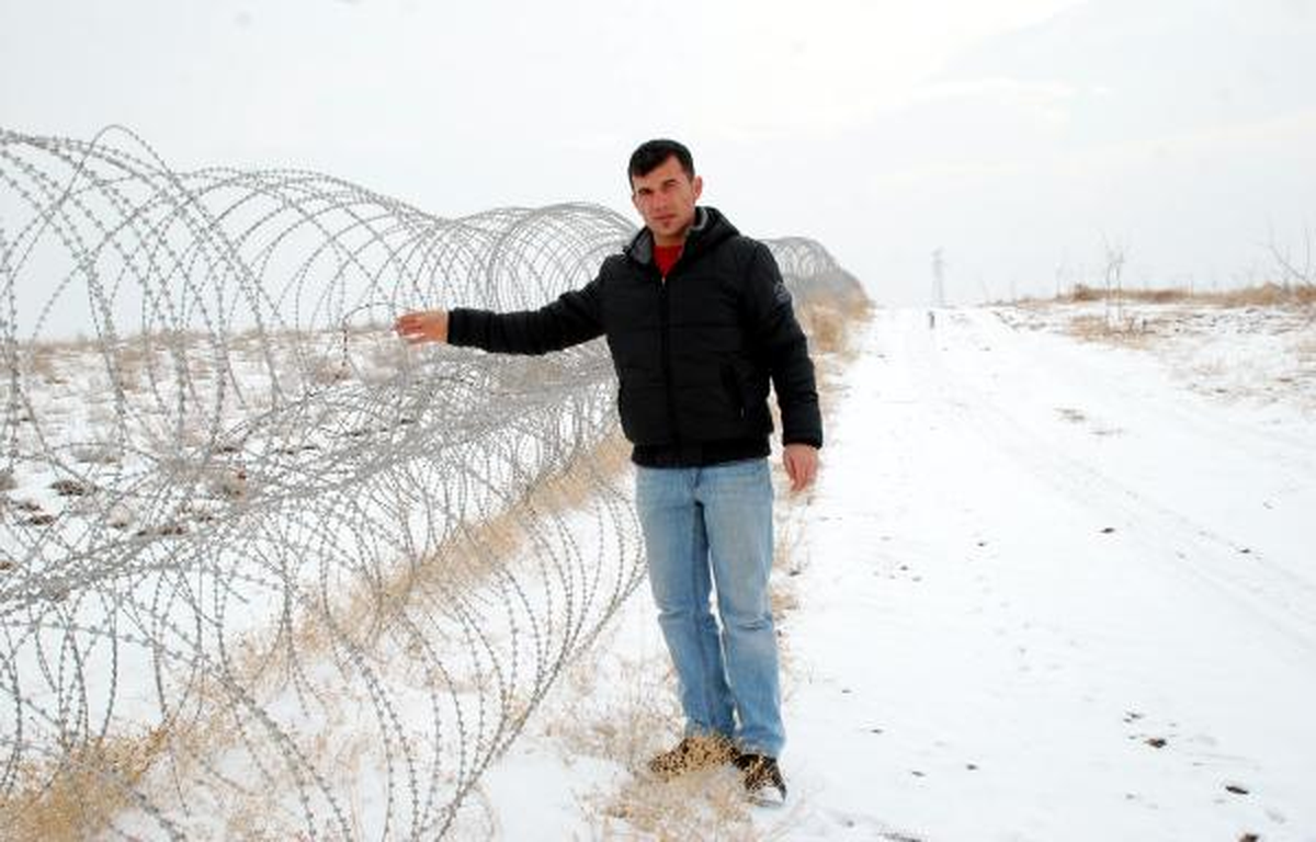 Aç Kalan Yabani Tavşanlar Fidanları Kemirdi