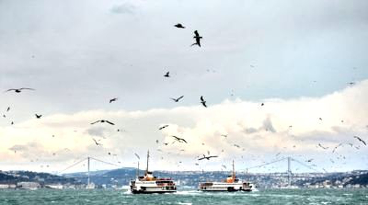 Ek - Şehir Hatları Vapurları Seferlerini Yapamıyor