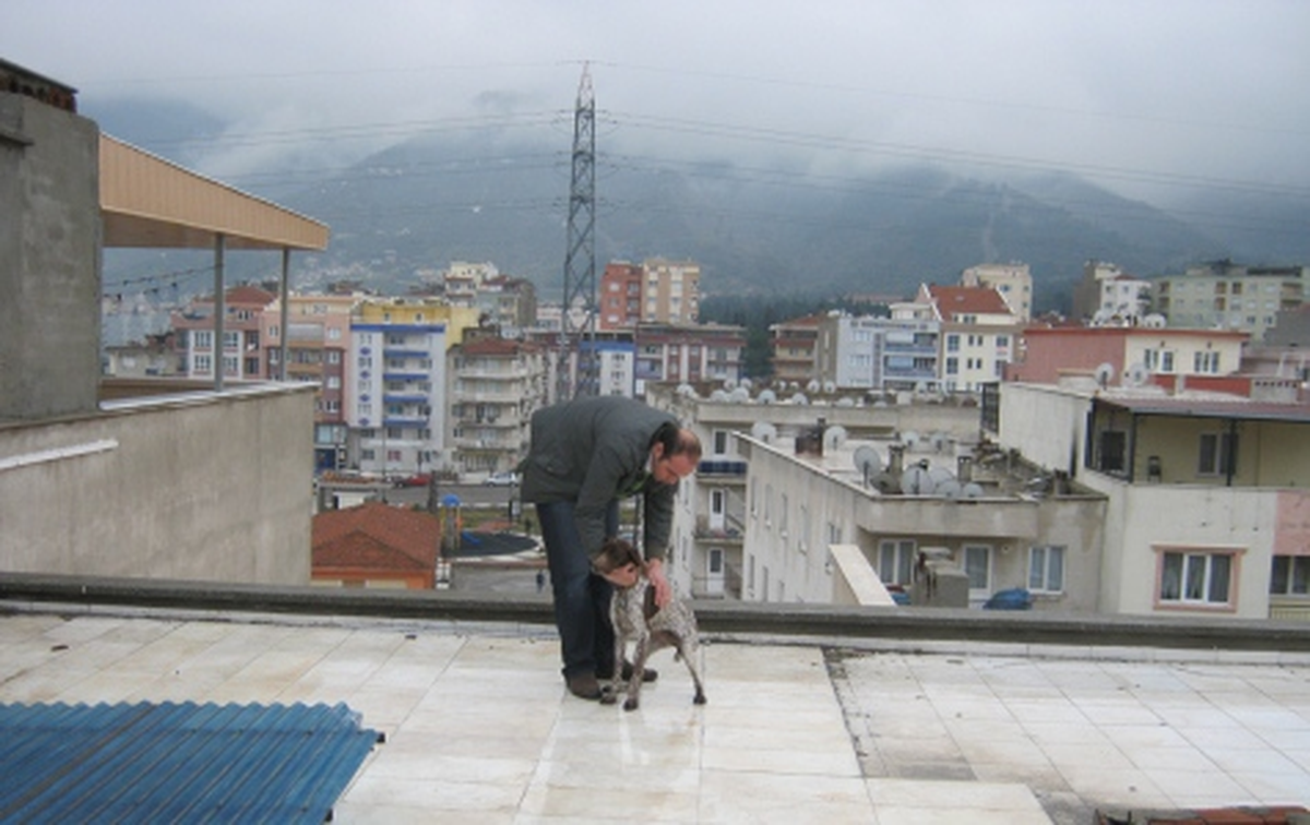 Terk Edilmiş Köpekler Kurtarıldı