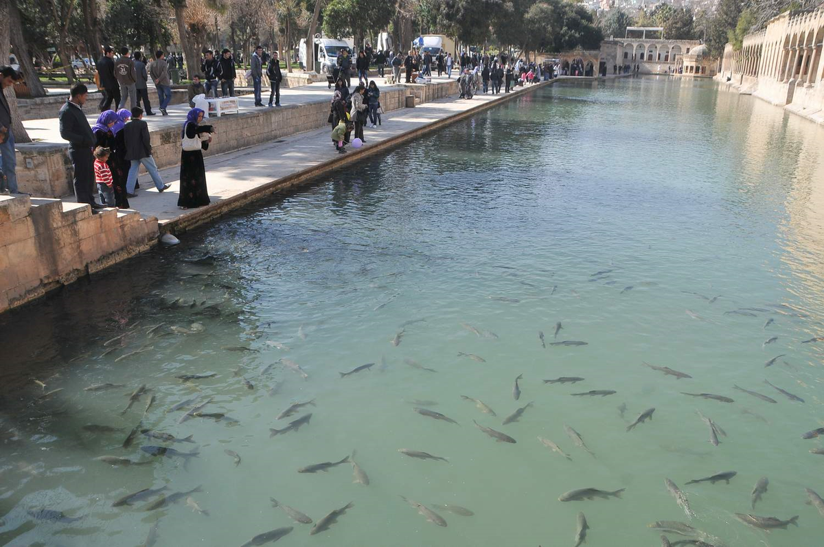 Balıklıgöl\'e Ziyaretçi Akını