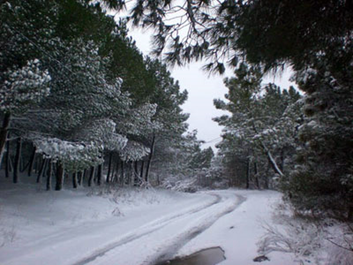 Çatalcalı Karın Keyfini Çıkardı