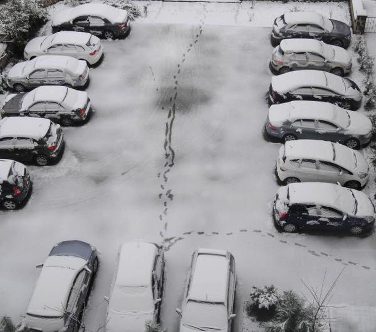 Doğu Karadeniz'de Yollar Kapalı, Okullar Tatil