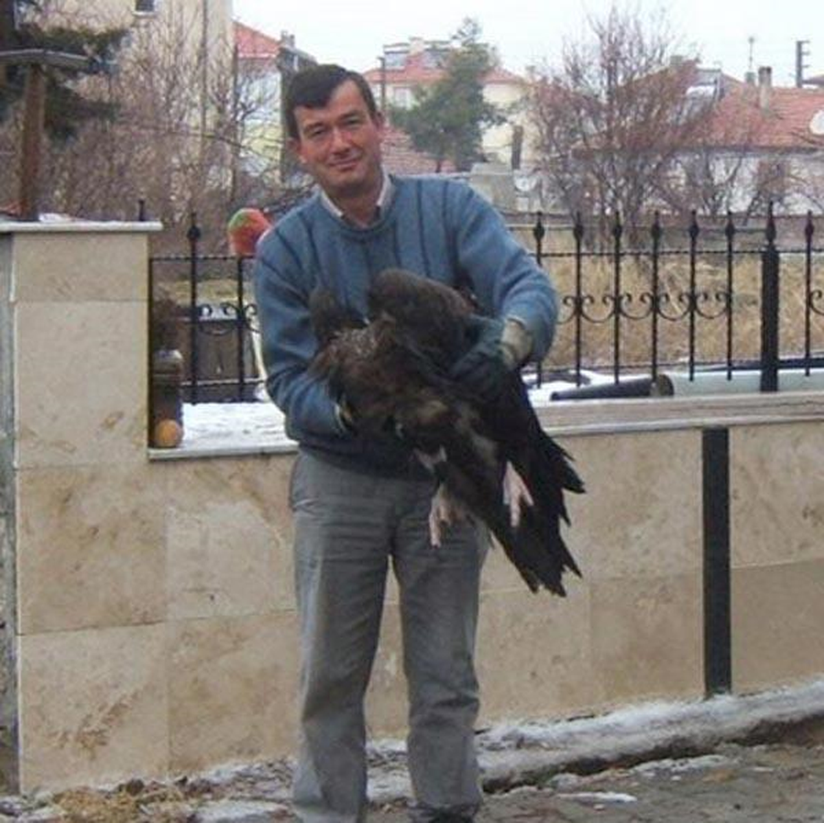 Kanadı Kırılan Akbaba, Tedaviye Alındı