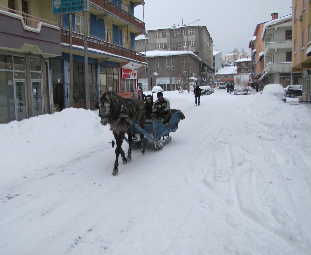 Kars\'ta Atlı Kızak Taksi Uygulaması