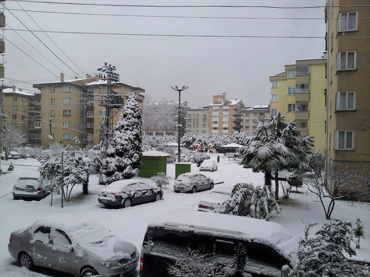 Ordu'da 397 Köyün Yolu Kapandı
