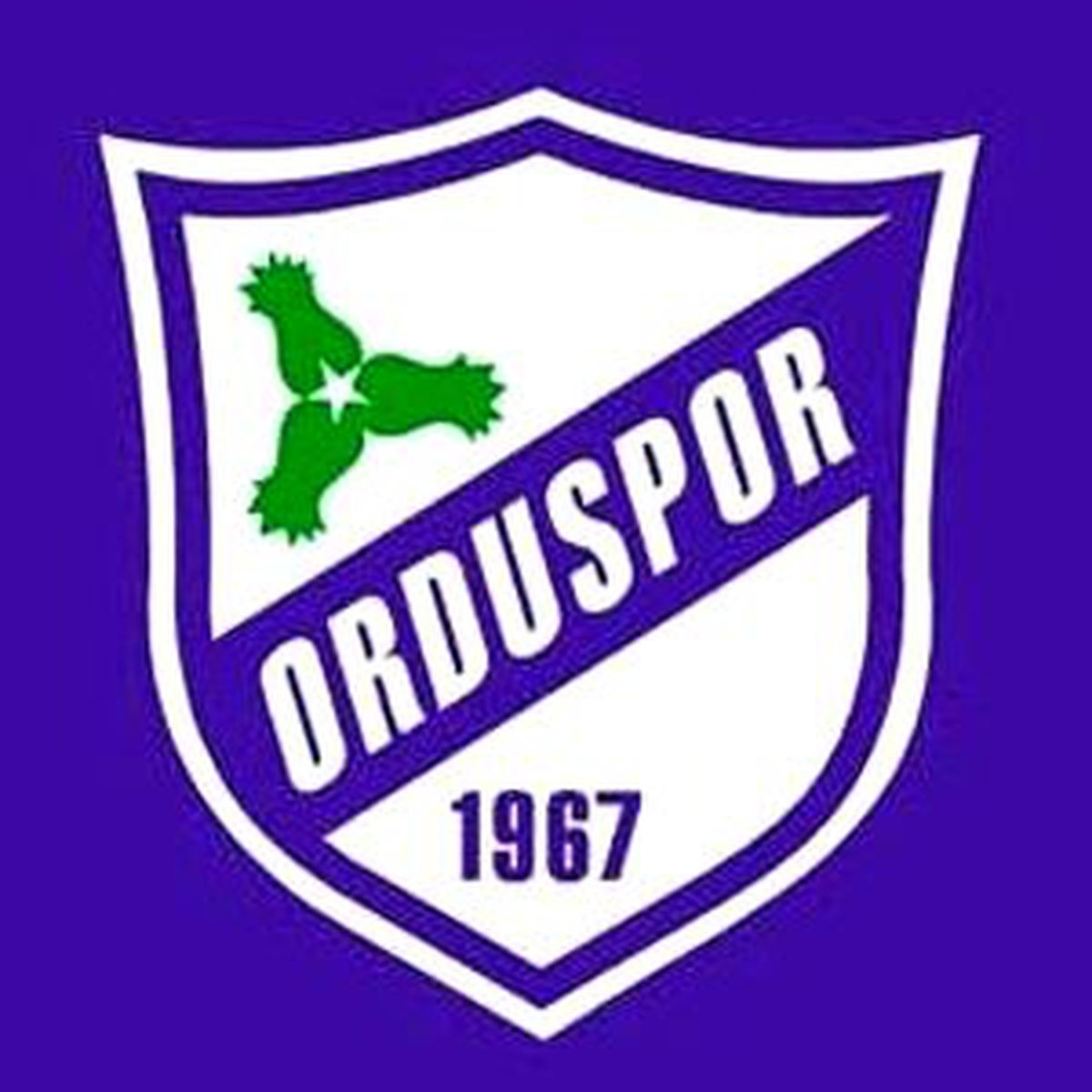 Orduspor Salonda Çalıştı