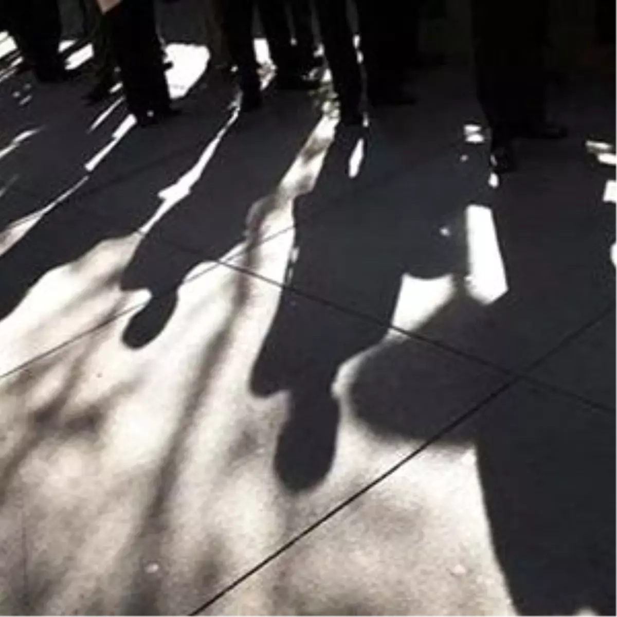 Tisk: Türkiye\'de Olgunluk Çağında Olmak "Boşta Gezmek" Demek