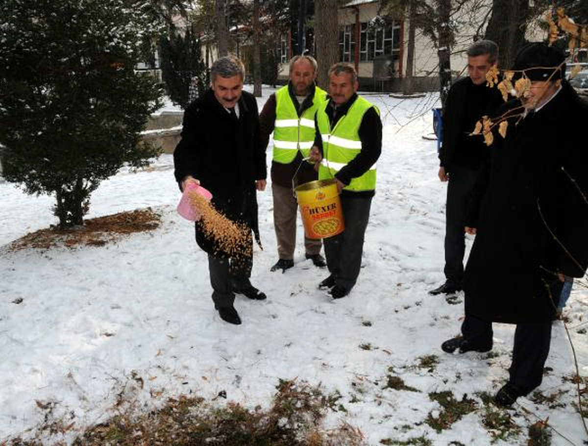 Tokat Belediye Başkanı Çocuklarla Kartopu Oynadı