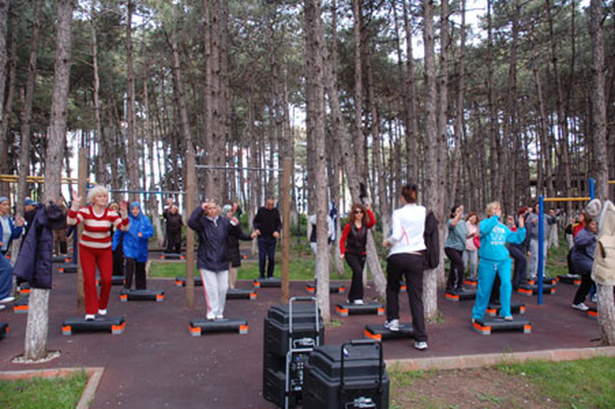 Yeni Step Alanı Müjdesi