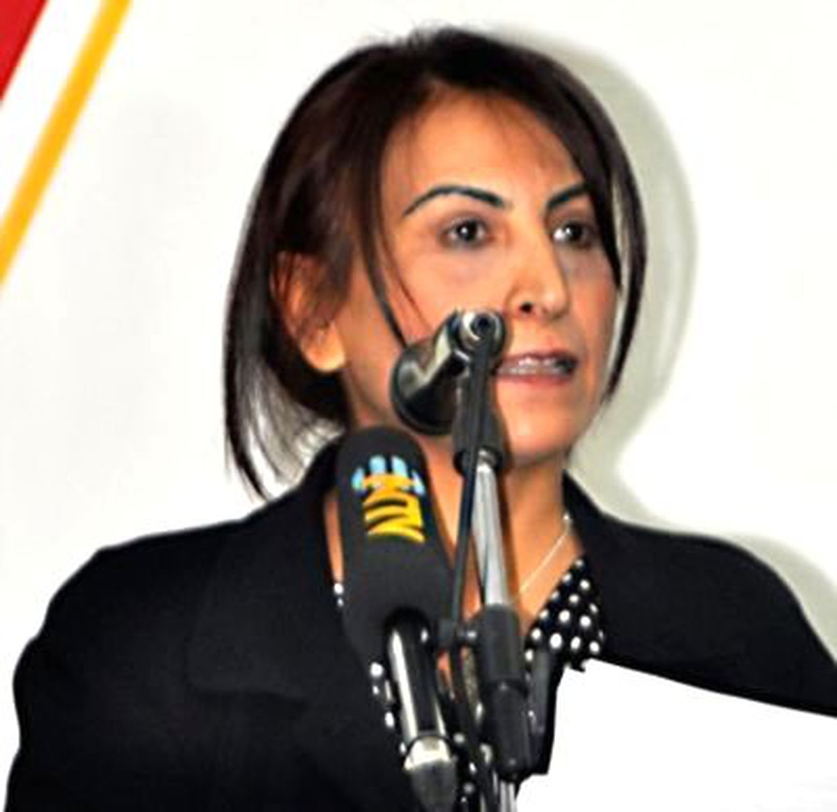 Aysel Tuğluk: Mit-Pkk Görüşmesi Tıkanması Halinde İç Savaş Yaşanabilir