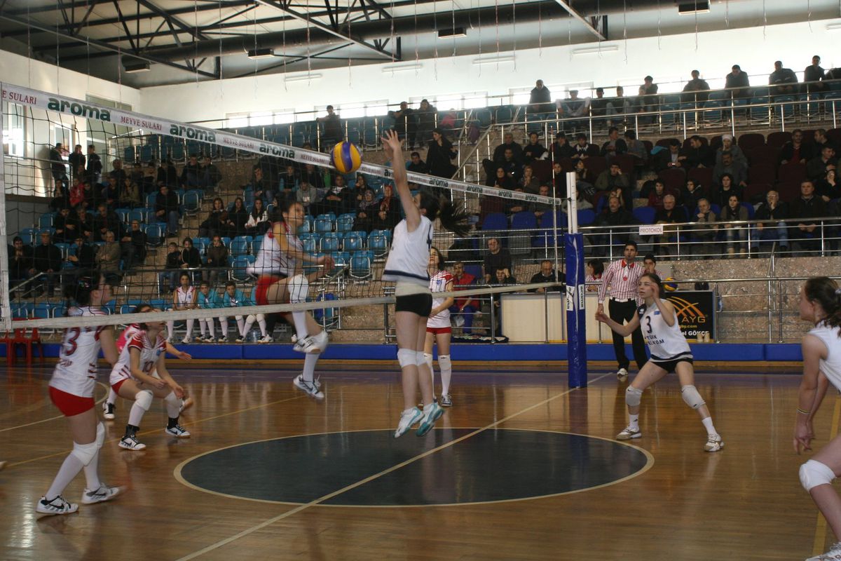 Bayanlar Bölgesel Voleybol Ligi
