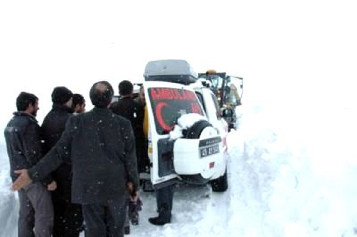 Bitlis'te Hasta Kurtarma Mücadelesi