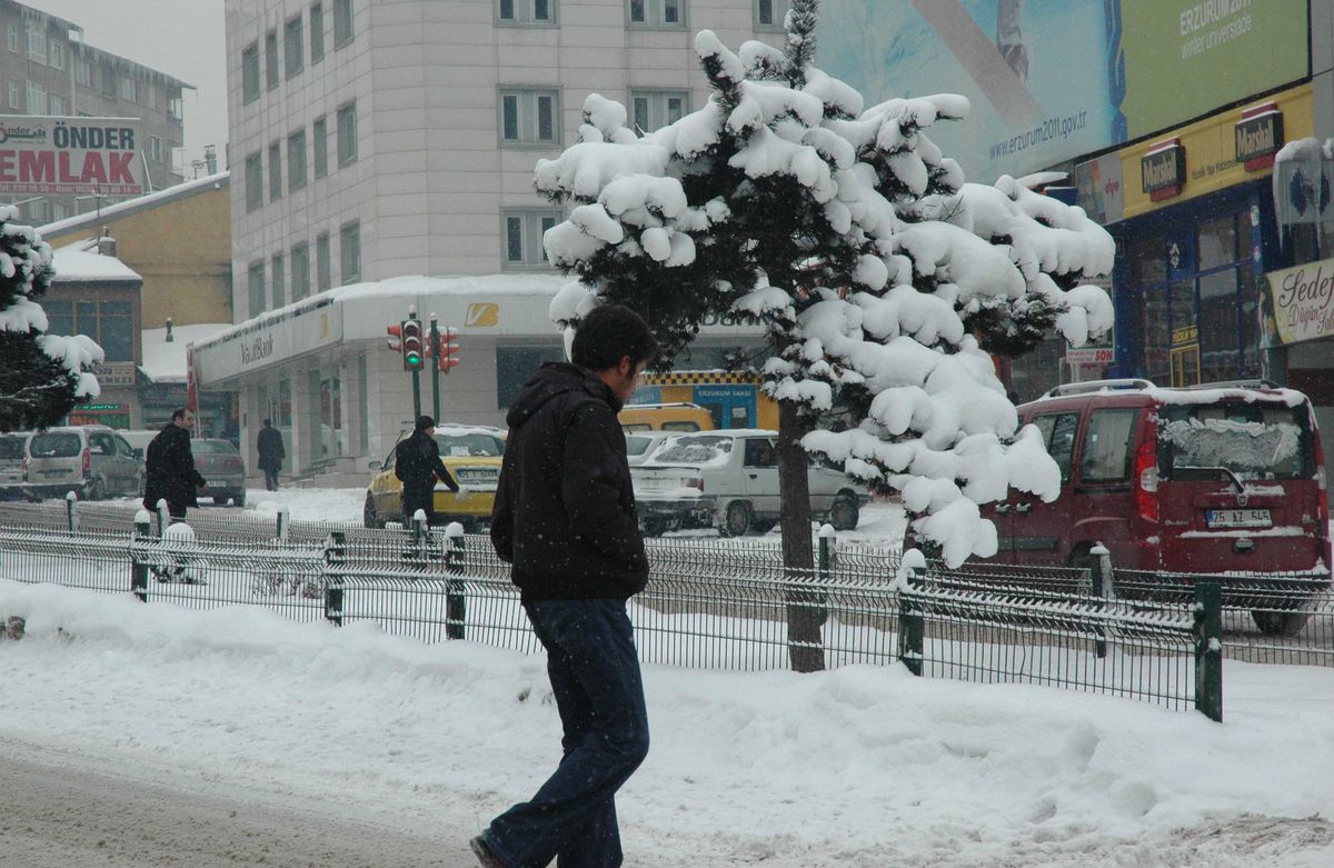 Erzurum Dondu