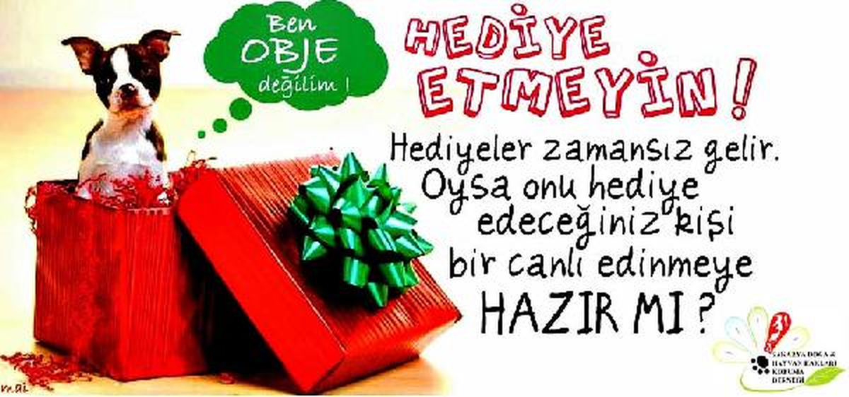 Hayvanseverlerden, \'14 Şubat\'ta Hayvan Hediye Etmeyin\' Çağrısı