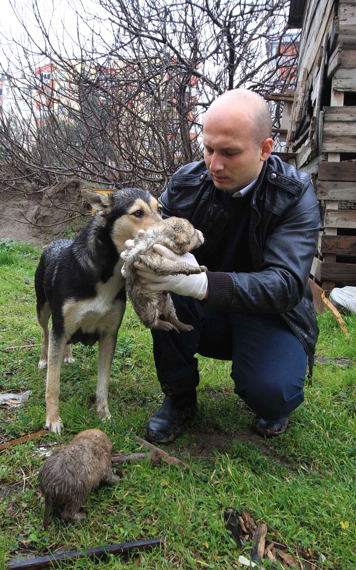 İzmir\'de Yavru Köpek Kurtarma Operasyonu