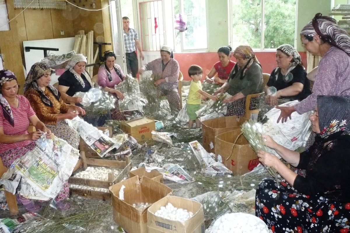 Ödemişli İpek Böcekçilerine Teşekkür
