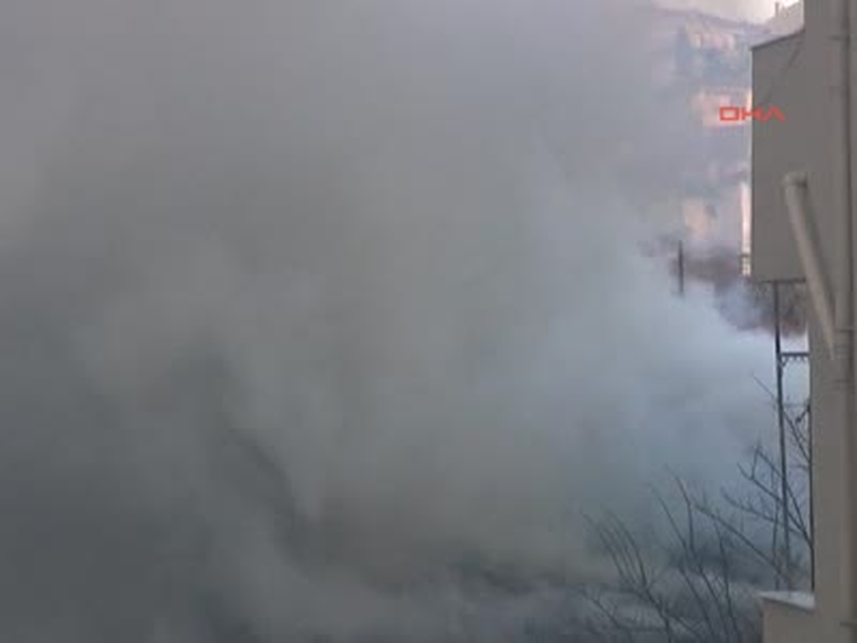 Şile\'de Yangın Paniği