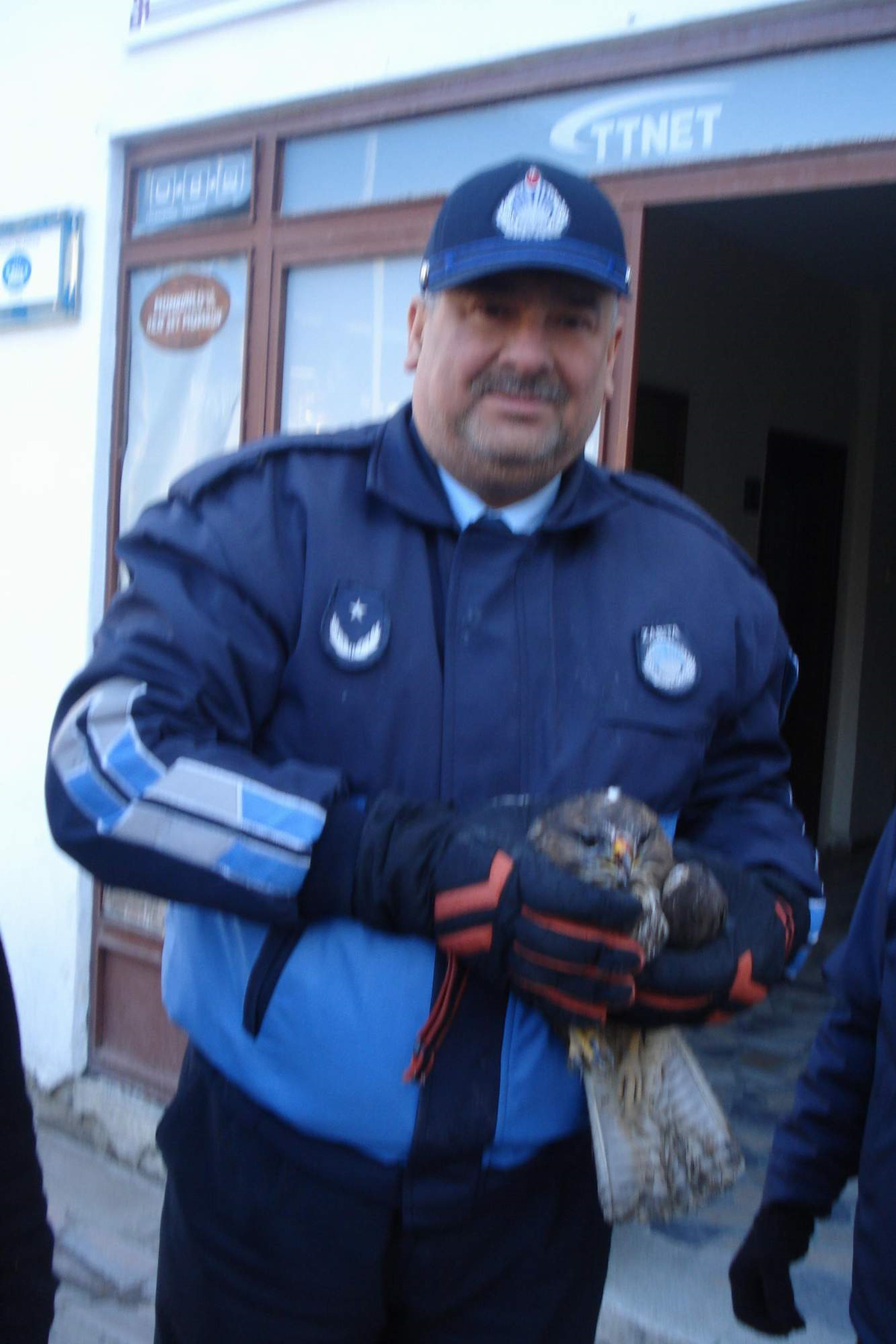 Yaralı Şahine Zabıta Yardım Etti