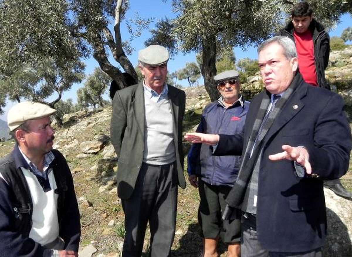 Zeytin Konusunda Hükümeti Uyardılar