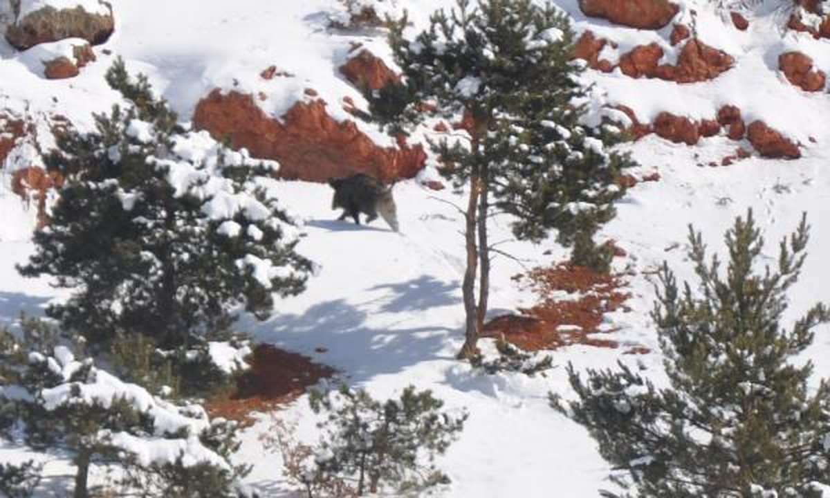 Dumansız Hava Sahası Yürüyüşü ve Kardan Adam Yarışması