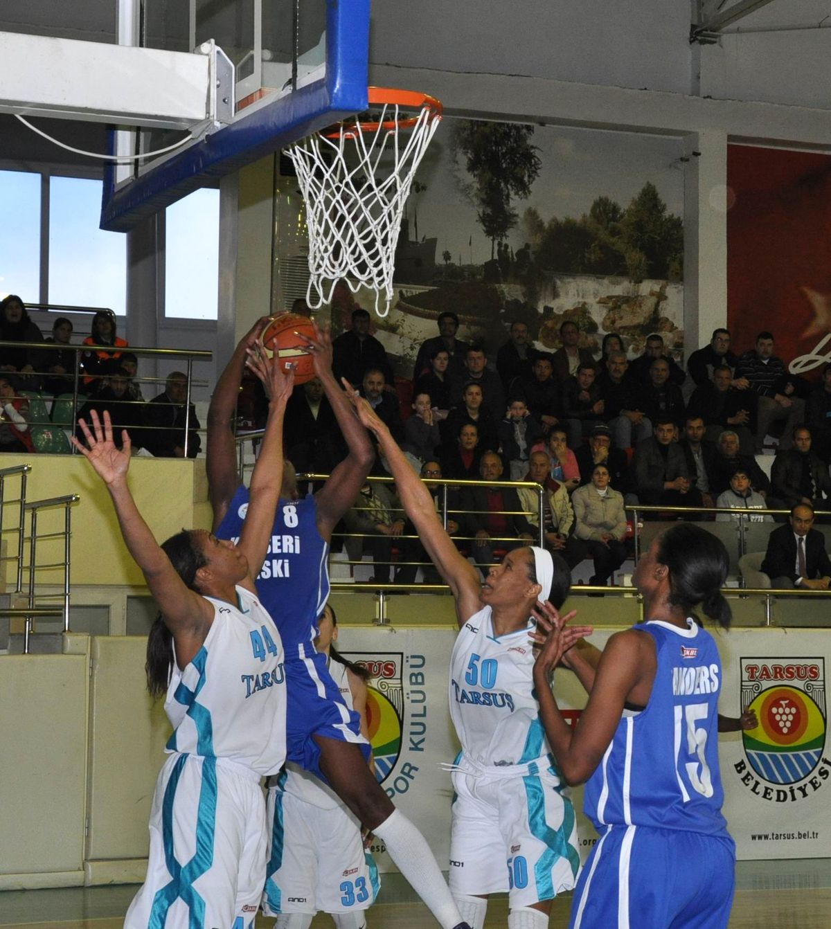 Kadınlar Basketbol 1. Ligi