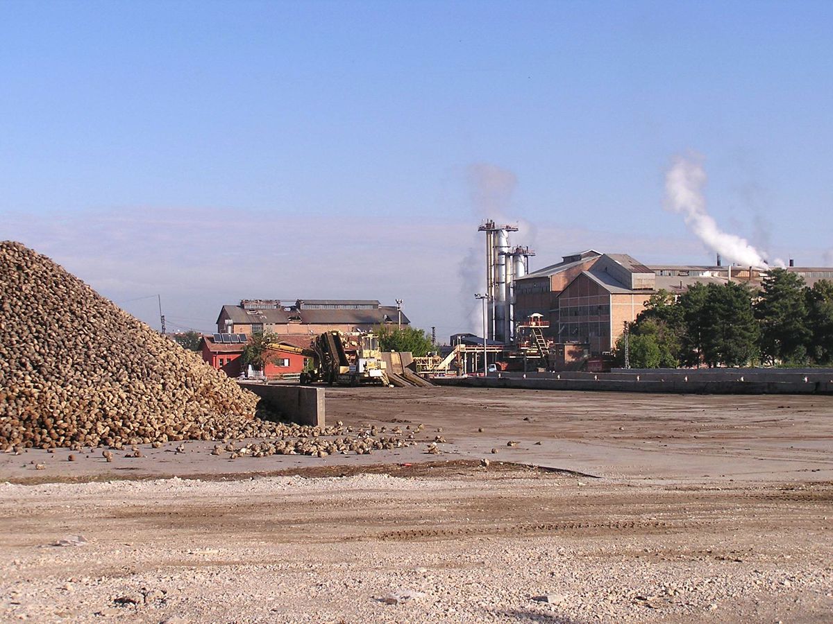 Malatya Şeker Fabrikası\'nın Pancar Kotası Belirlendi