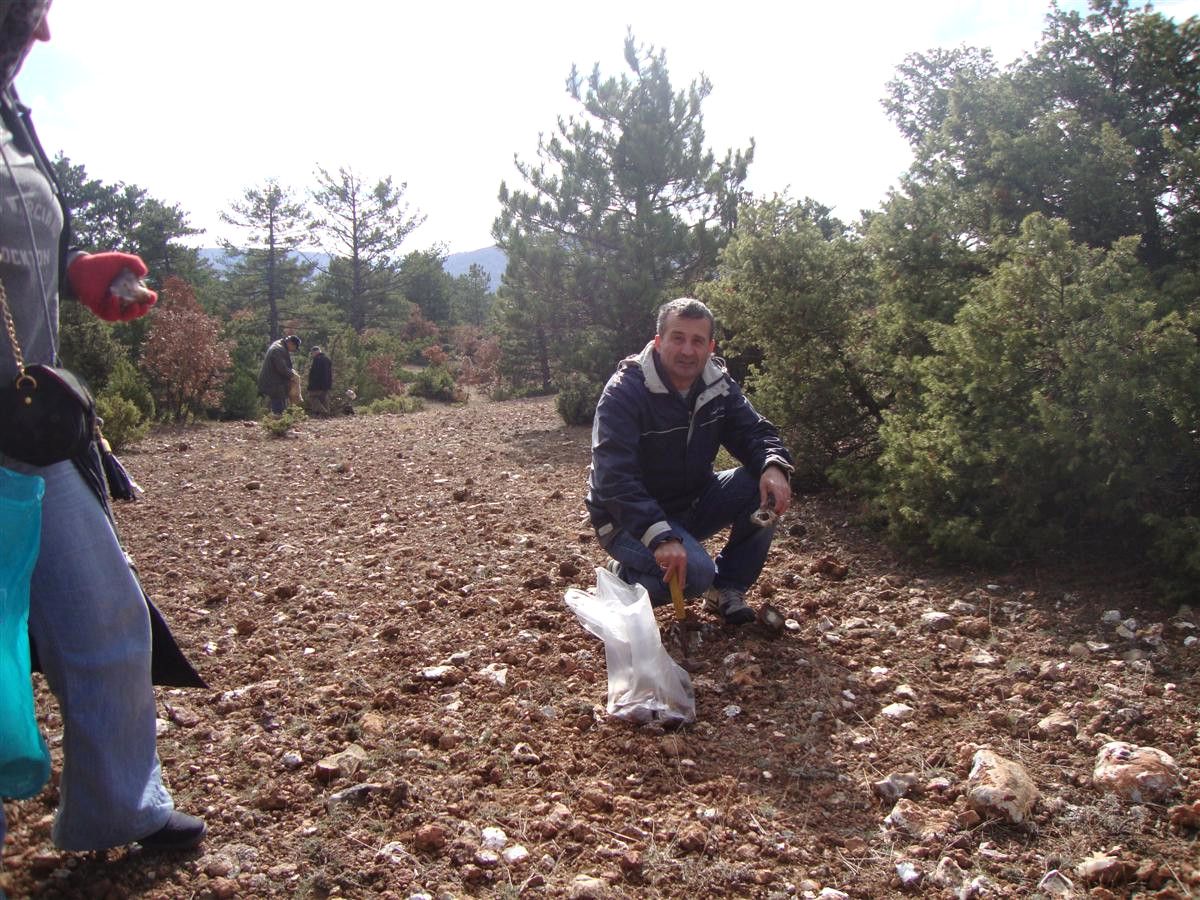 Taşçılar Yeni Damarları Keşfetti
