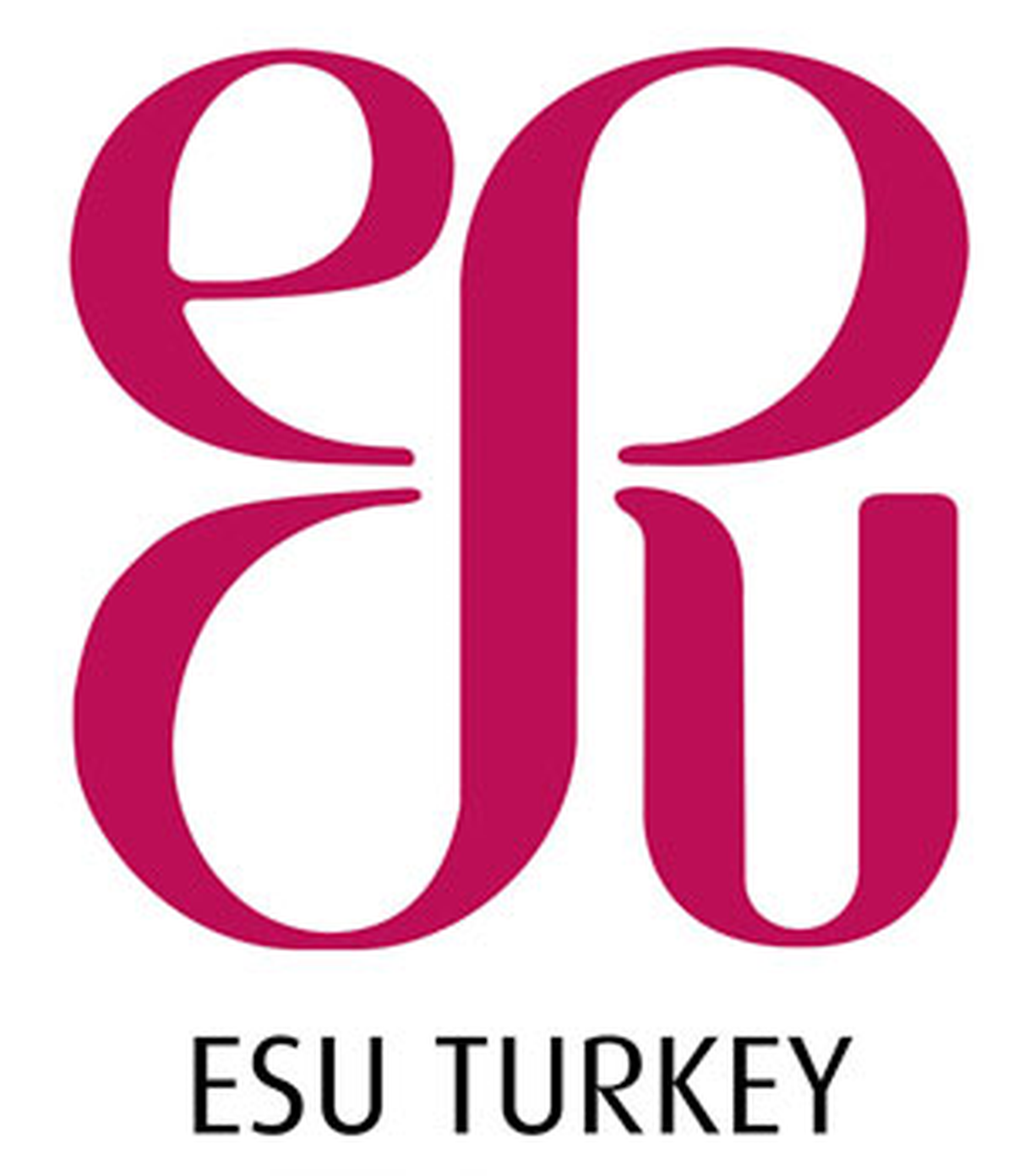 Dünya Liseler Münazara Şampiyonası