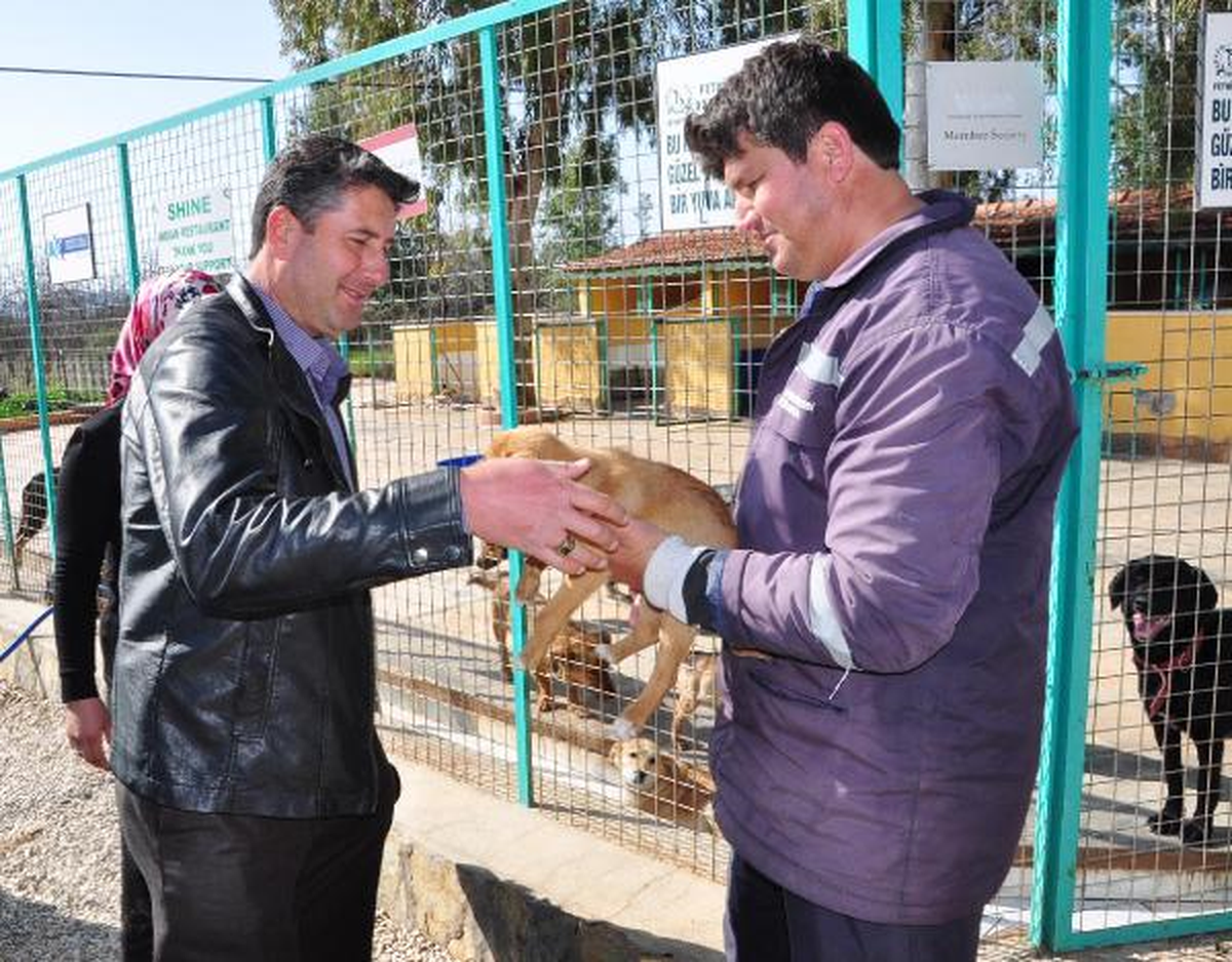 Hayvan Barınağında Sevgililer Günü Telaşı