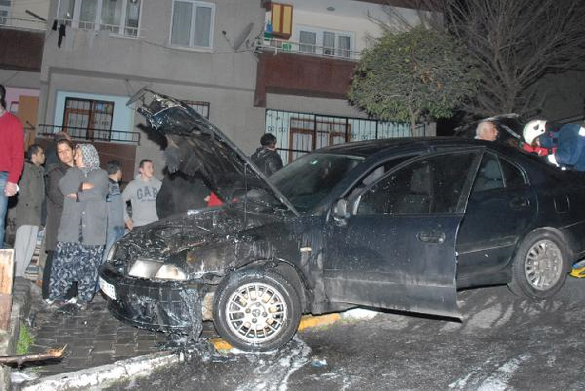 Sokak Köpekleri Kundakcıları Kaçırttı