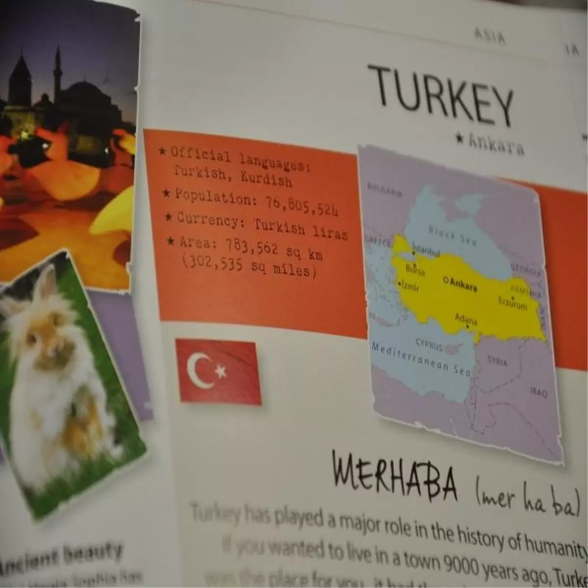 Ünlü İngiliz Seyahat Rehberine Göre Türkiye'nin Resmi Dili, 'Türkçe ve Kürtçe'