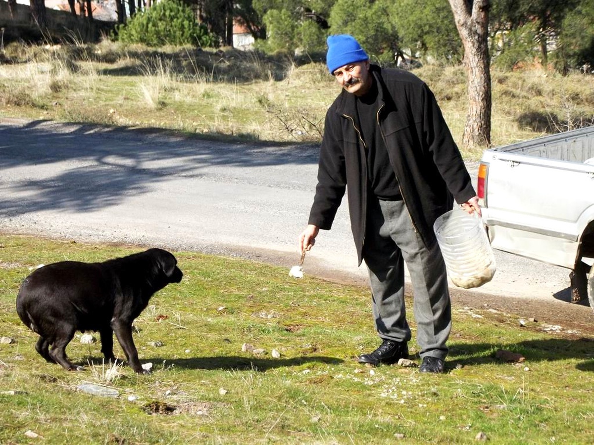 20 Yıldır Sokak Hayvanlarını Gizlice Besliyor