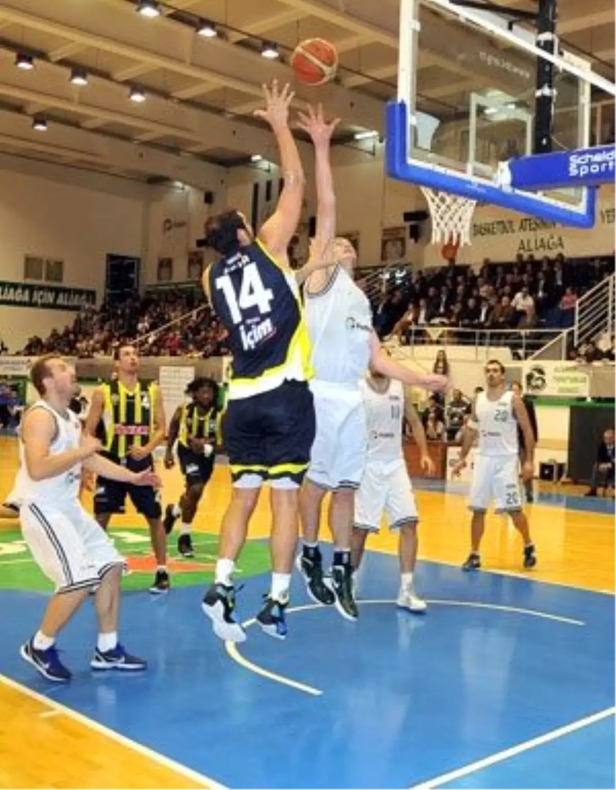 Aliağa Petkim, Basketbol Türkiye Kupası Finallerinde