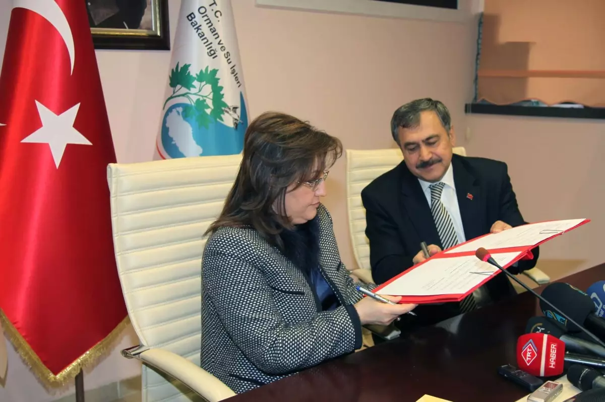 Bakanlıklar Ağaçlandırma Protokolü İmzaladı