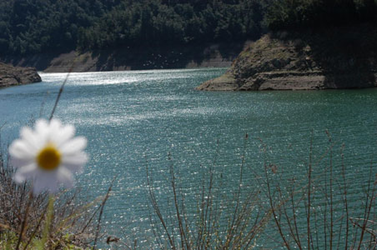 Bostanlı Barajı Başlıyor