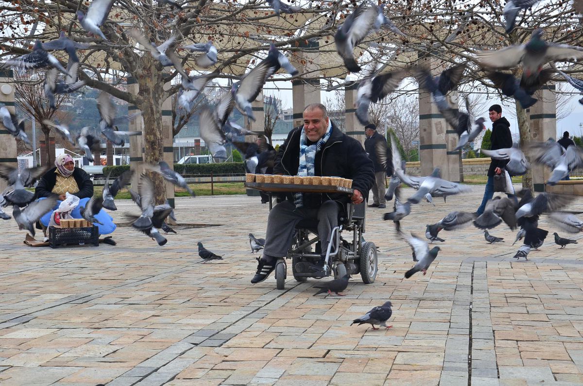 Kuş Yemcileri Kapalı Mekan İstiyorlar