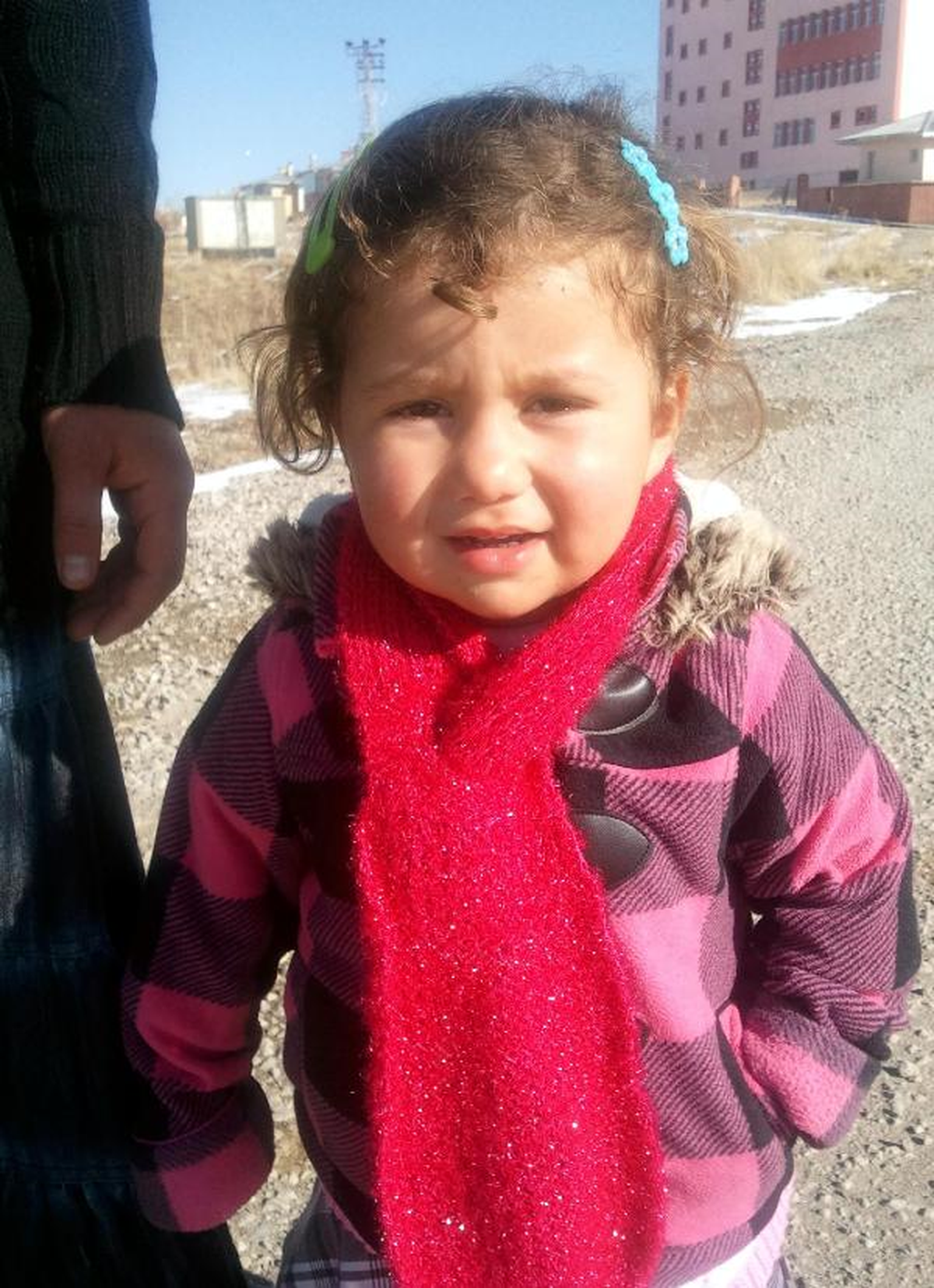 Töre Cinayeti Yine Hortladı