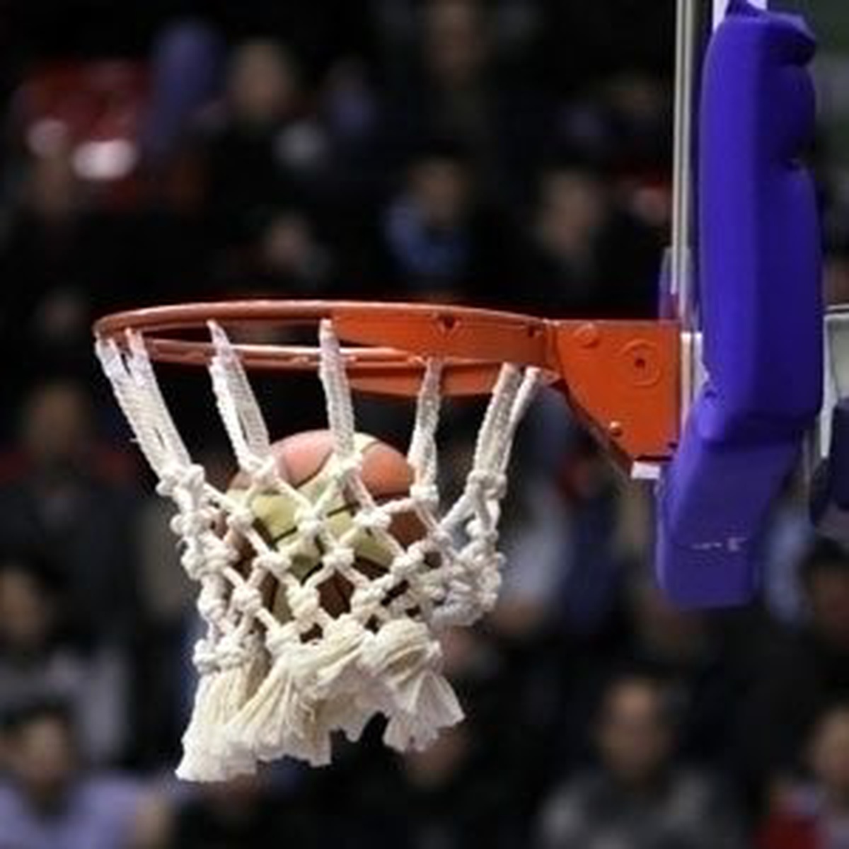 Anadolu Efes- Fenerbahçe Ülker: 82-69