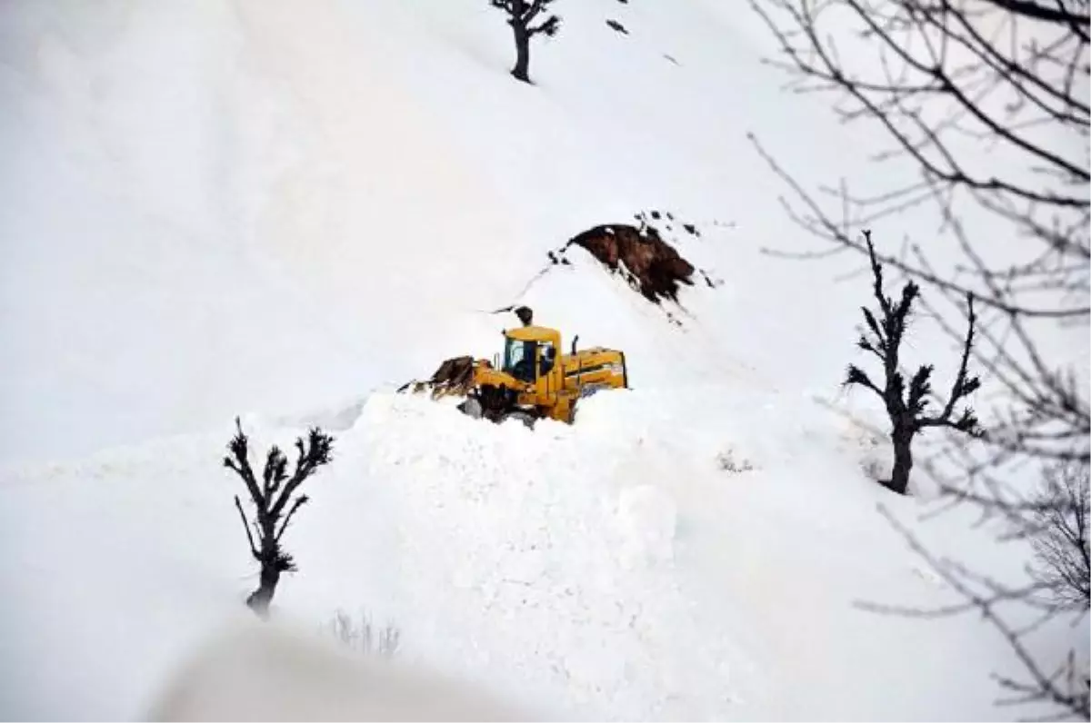 Çelikhan'da Kapalı 15 Köy Yolu Ulaşıma Açıldı