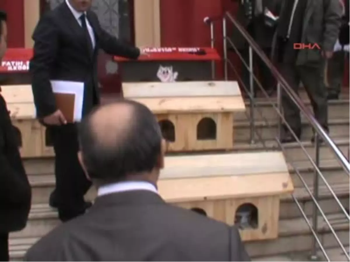 Çorum\' da Kedi Evleri Projesi
