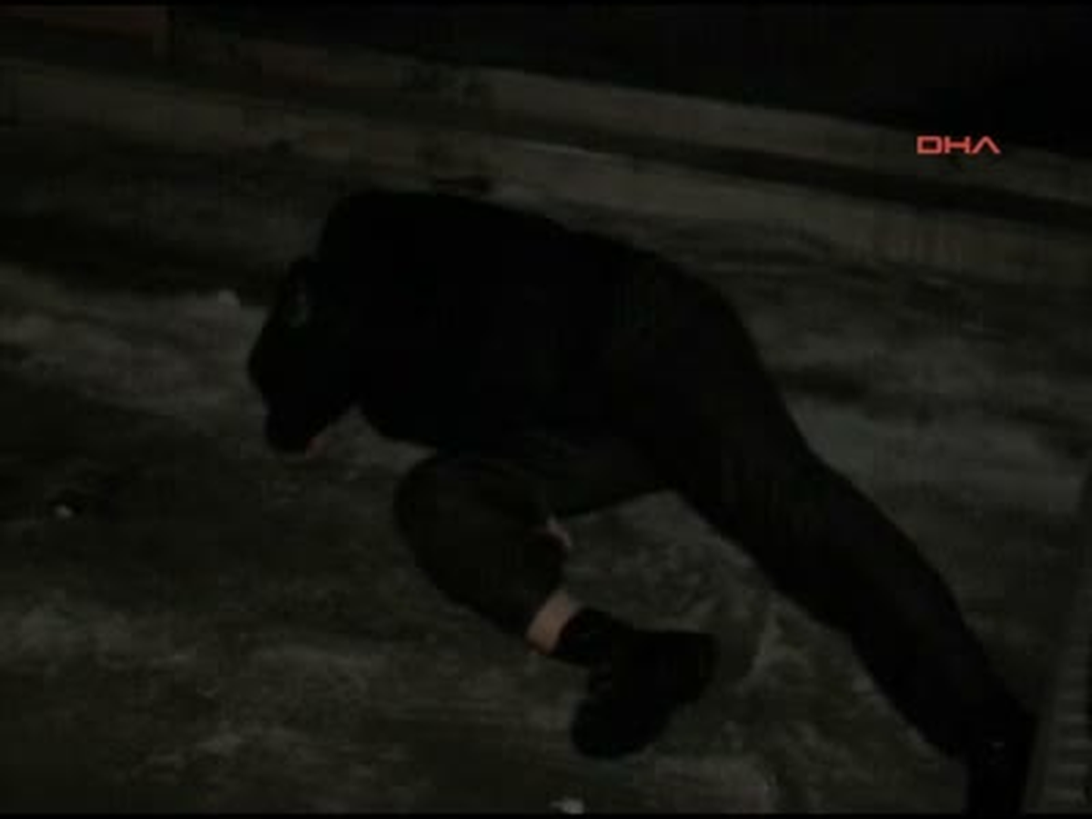 Kırık Ayakla Yarım Saat Kurtarılmayı Bekledi