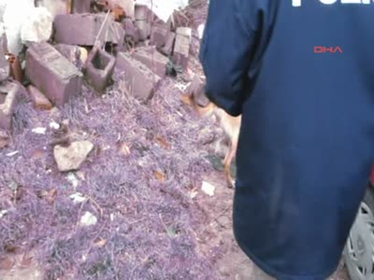 63 Yaşındaki Kadın Tekrar Esrar Satınca Tutuklandı
