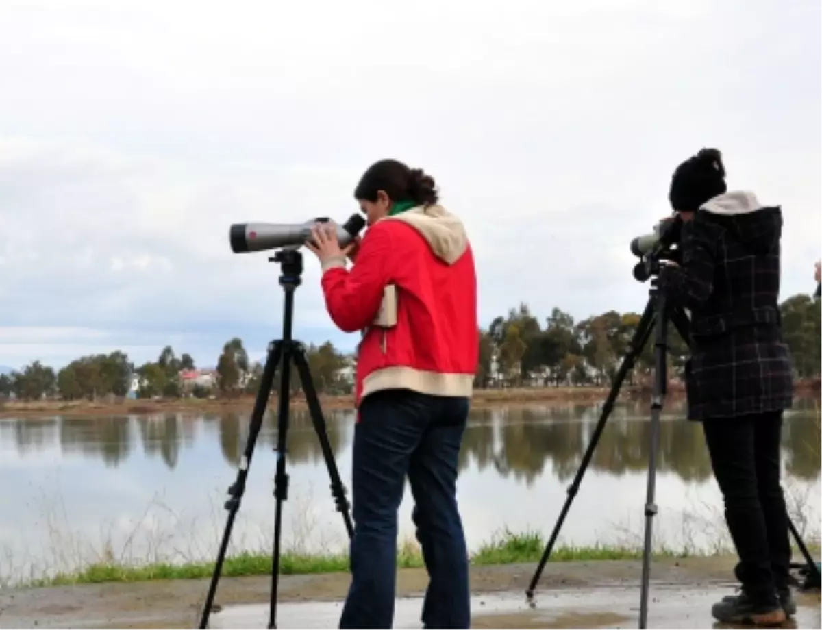 Aliağa Kuş Cenneti\'nin Kış Misafirlerinin Sayısı Belirlendi
