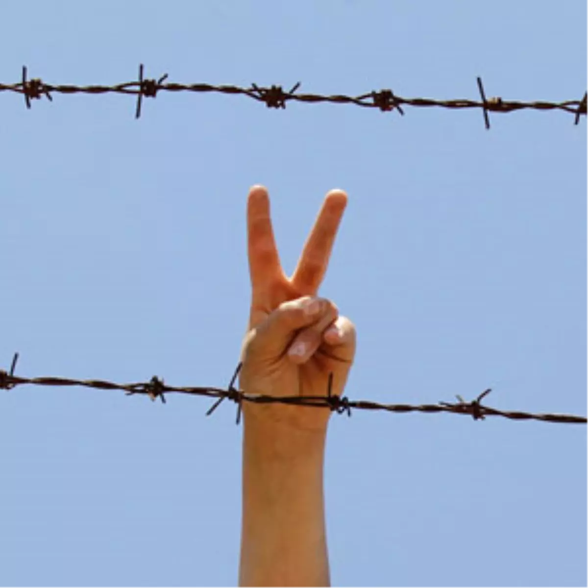 AP\'de "Suriye" Konuşuldu