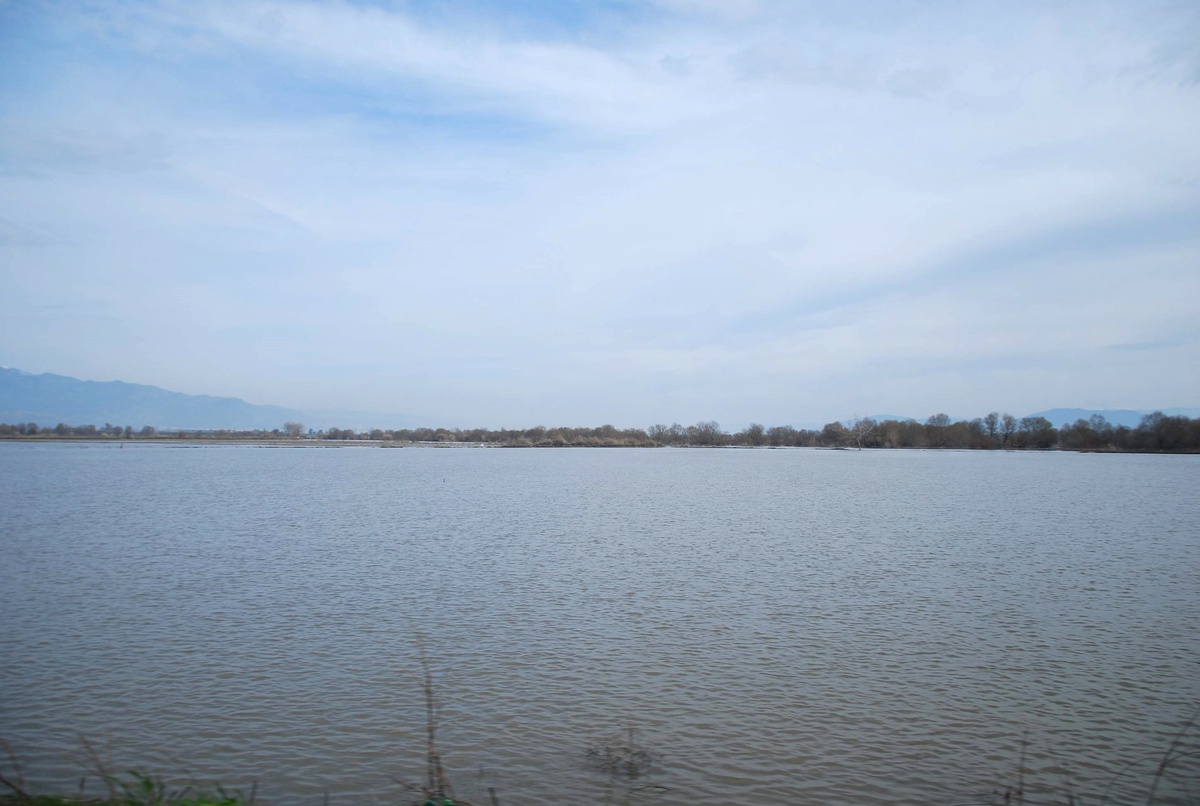 Barajlar Doldu, Menderes Taştı, Aydın Ovası Göle Döndü