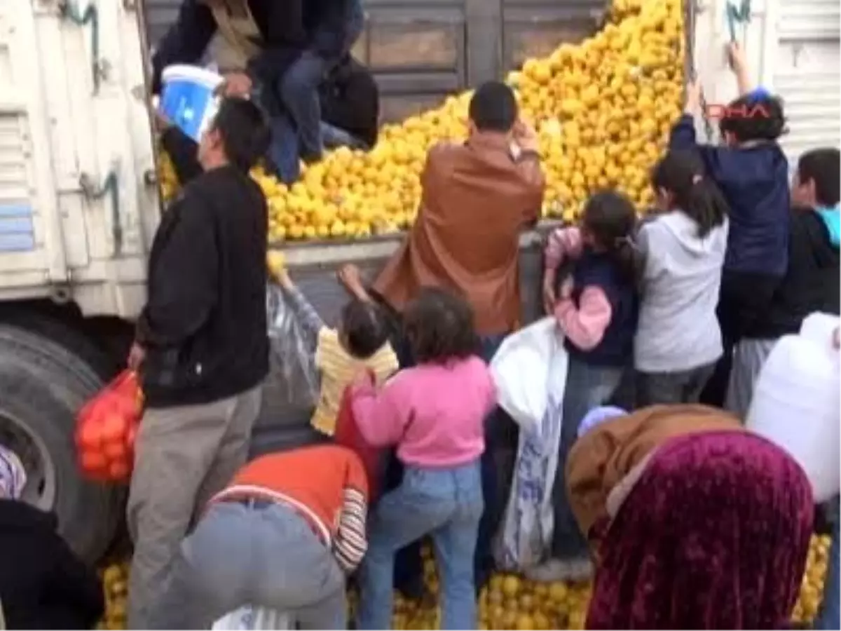 Bedava Limon İzdihamı