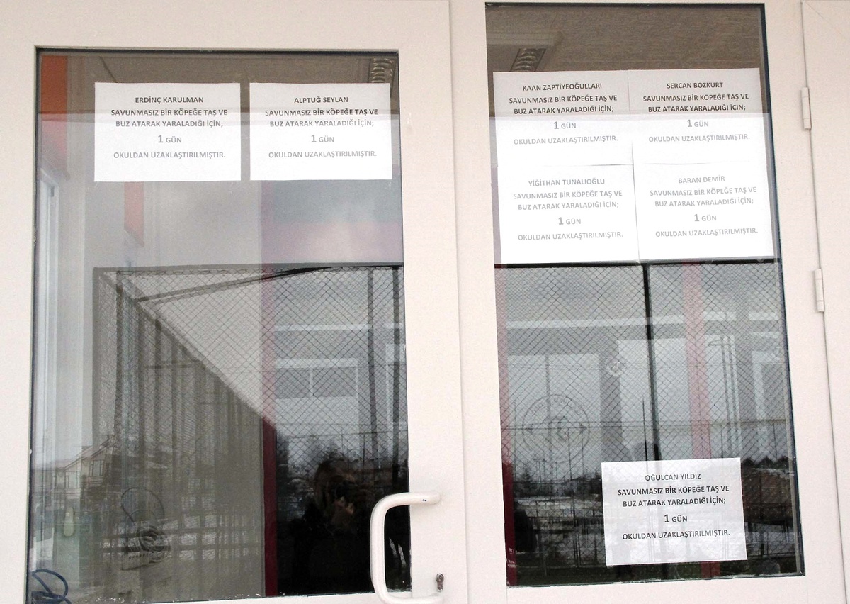 Köpeğe Taş Attılar, Okuldan Uzaklaştırıldılar