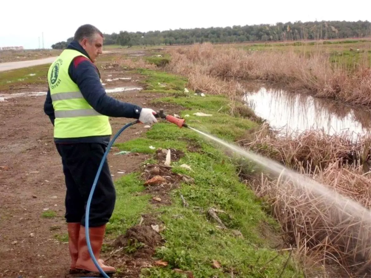 Küçükköy Belediyesi Sivrisinek ile Mücadeleye Başladı