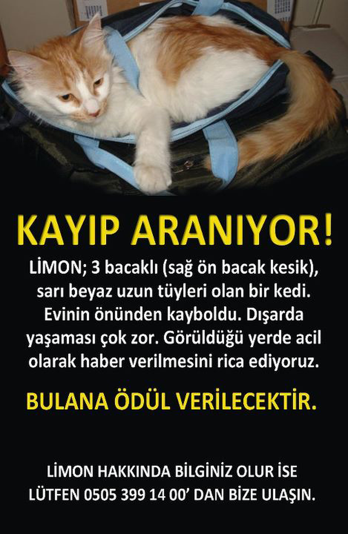 Limon\'u Bulana Para Ödülü Verilecek
